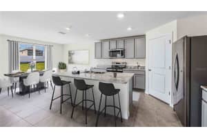 33577 APRICOT TREE CT, WESLEY CHAPEL, FL 33543 Sold 04/28/23