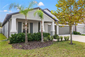 823 TIMELESS MOSS DR, RUSKIN, FL 33570 Sold 03/10/23