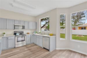 934 GRAND CANYON DR, VALRICO, FL 33594 Sold 12/22/22