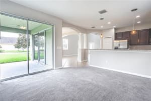 17421 CHELSEA DOWNS CIR, LITHIA, FL 33547 Sold 03/24/23