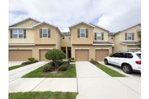 4833 White Sanderling Ct, Tampa, FL 33619, Sold 02/10/23