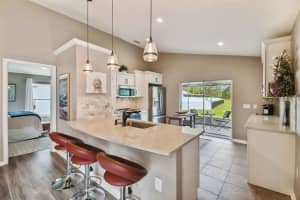 30531 BIRDHOUSE DR, WESLEY CHAPEL, FL 33545 Sold 02/24/23