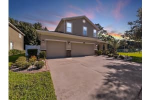 3011 CALVANO DR, LAND O LAKES, FL 34639 Sold 01/19/23