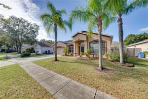 439 COUNTRY VINEYARD DR, VALRICO, FL 33594 Sold 01/06/23