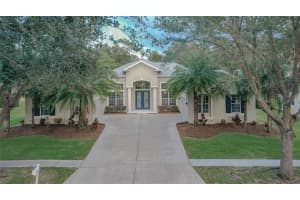 1022 EMERALD HILL WAY, VALRICO, FL 33594 Sold 02/09/23