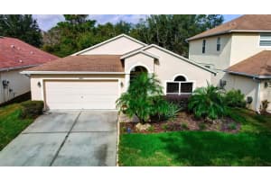 10851 MAY APPLE CT, LAND O LAKES, FL 34638 Sold 01/30/23