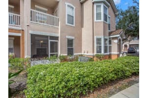 17917 Villa Creek Dr, Tampa, FL 33647, Sold 05/02/23