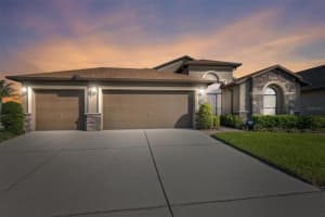 34009 PICKFORD CT, WESLEY CHAPEL, FL 33545 Sold 02/16/23