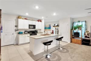 10841 TRAILING VINE DR, TAMPA, FL 33610 Sold 01/20/23