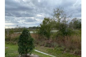 1413 White Fox Run, Lutz, FL 33549, Sold 03/23/23