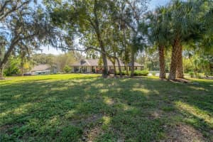 407 APACHE TRL, BRANDON, FL 33511 Sold 02/28/23