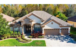 15035 Wind Whisper Dr, Odessa, FL 33556, Sold 02/10/23