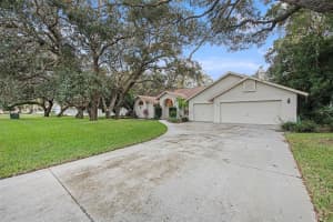 7233 ROYAL OAK DR, WEEKI WACHEE, FL 34607 Sold 03/15/23