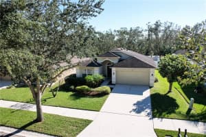 415 DOWN PINE DR, SEFFNER, FL 33584 Sold 03/24/23