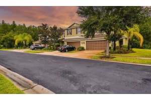 20227 INDIAN ROSEWOOD DRIVE, TAMPA, FL 33647 Sold 09/07/23