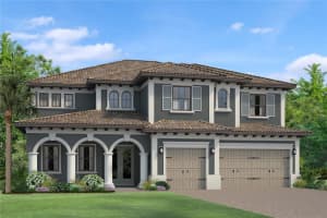 6040 MARSH TRAIL DR, ODESSA, FL 33556 Sold 07/21/23
