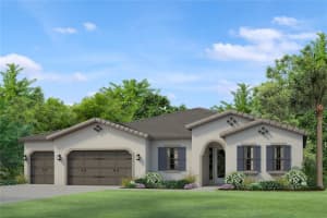 6043 MARSH TRAIL DR, ODESSA, FL 33556 Sold 07/28/23