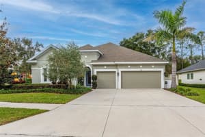 1129 TRACEY ANN LOOP, SEFFNER, FL 33584 Sold 06/06/23