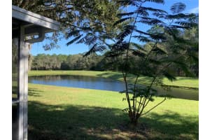 15119 Deer Meadow Dr, Lutz, FL 33559, Sold 03/29/23