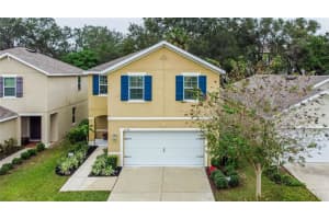 10108 HAWK STORM AVENUE, TAMPA, FL 33610 Sold 02/28/23