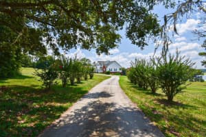 10625 CLARA MAE DRIVE, DADE CITY, FL 33525 Sold 03/31/25