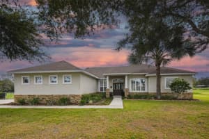 3737 ALAFIA CREEK STREET, PLANT CITY, FL 33567 Sold 01/31/23