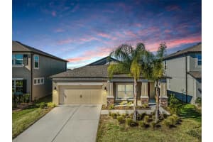 11317 ALACHUA CREEK LANE, RIVERVIEW, FL 33579 Sold 01/27/23