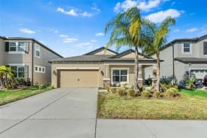 11317 ALACHUA CREEK LANE, RIVERVIEW, FL 33579 Sold 01/27/23