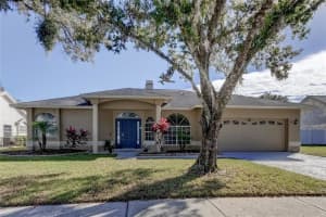 4616 Basswood St, Land O' Lakes, FL 34639, Sold 01/27/23