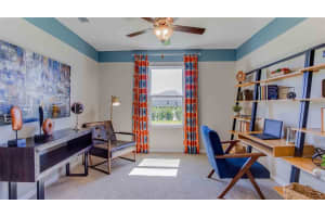 33416 APRICOT TREE COURT, WESLEY CHAPEL, FL 33543 Sold 04/28/23