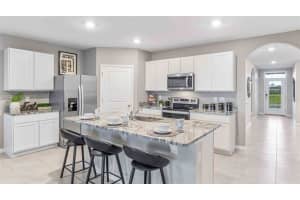 33416 APRICOT TREE COURT, WESLEY CHAPEL, FL 33543 Sold 04/28/23