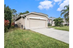 12523 Sparkleberry Rd, Tampa, FL 33626, Sold 02/13/23