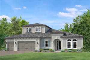 6042 MARSH TRAIL DRIVE, ODESSA, FL 33556 Sold 08/16/23