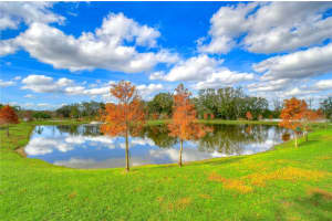 2938 RAMBLER IVY LOOP, BRANDON, FL 33510 Sold 02/07/23