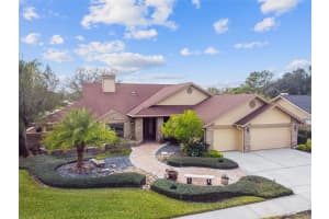 6507 THOROUGHBRED LOOP, ODESSA, FL 33556 Sold 05/02/23