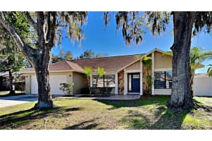 1611 SHADY LEAF DRIVE, VALRICO, FL 33596 Sold 02/03/23