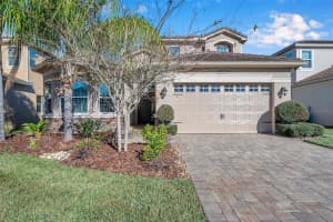31275 SPRUCEBERRY COURT, WESLEY CHAPEL, FL 33543 Sold 04/20/23