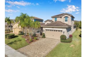 31275 SPRUCEBERRY COURT, WESLEY CHAPEL, FL 33543 Sold 04/20/23