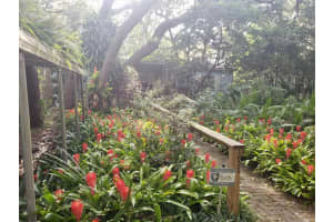 1821 WEEKEND LANE, ODESSA, FL 33556 Sold 01/26/23