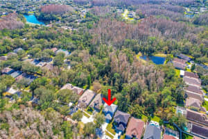 13443 STAGHORN ROAD, TAMPA, FL 33626 Sold 03/06/23