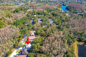 13443 STAGHORN ROAD, TAMPA, FL 33626 Sold 03/06/23