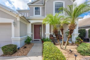 11573 MISTY ISLE LANE, RIVERVIEW, FL 33579 Sold 03/31/23