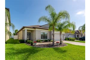 11426 Amapola Bloom Ct, Riverview, FL 33579, Sold 03/04/23
