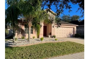 10225 SUMMER AZURE DRIVE, RIVERVIEW, FL 33578 Sold 05/30/23