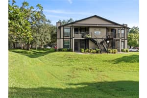 14663 NORWOOD OAKS DRIVE, TAMPA, FL 33613 Sold 04/27/23