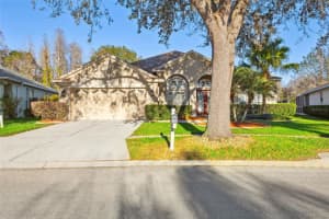 19412 MORDEN BLUSH DRIVE, LUTZ, FL 33558 Sold 02/28/23