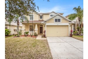 7117 MOSS LEDGE RUN, LAND O LAKES, FL 34637 Sold 05/24/23