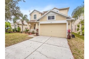 7117 MOSS LEDGE RUN, LAND O LAKES, FL 34637 Sold 05/24/23