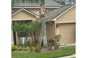 7744 CITRUS BLOSSOM DRIVE, LAND O LAKES, FL 34637 Sold 01/25/23
