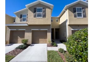 4827 WHITE SANDERLING COURT, TAMPA, FL 33619 Sold 02/24/23
